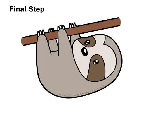 How to Draw Cute Cartoon Sloth Chibi Kawaii