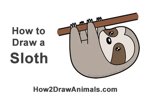 How to Draw Cute Cartoon Sloth Chibi Kawaii