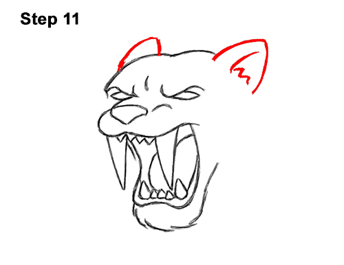 How to Draw a Cartoon Saber-toothed Tiger Cat 11