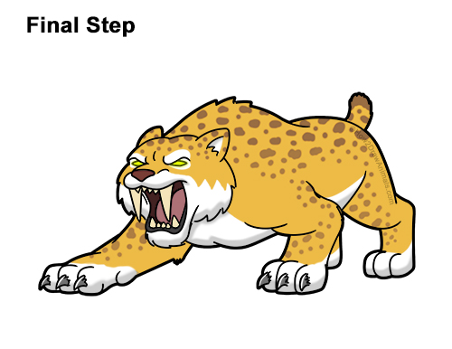 How to Draw a Cartoon Saber-toothed Tiger Cat Color