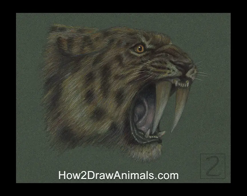 Smilodon Saber-Toothed Tiger Cat Portrait Drawing