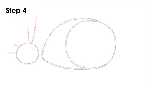 Draw Snail 4