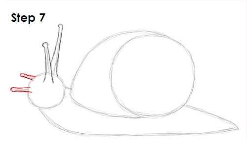Draw Snail 7