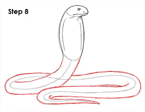 Draw King Cobra Snake 8