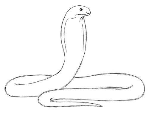 Draw King Cobra Snake 9