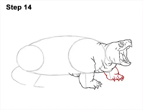 How to Draw Alligator Snapping Turtle Snapper 14