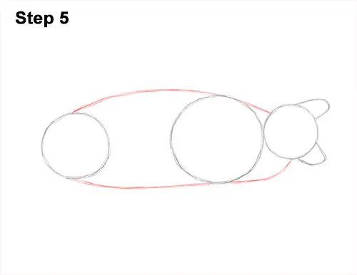 How to Draw an Alligator Snapping Turtle