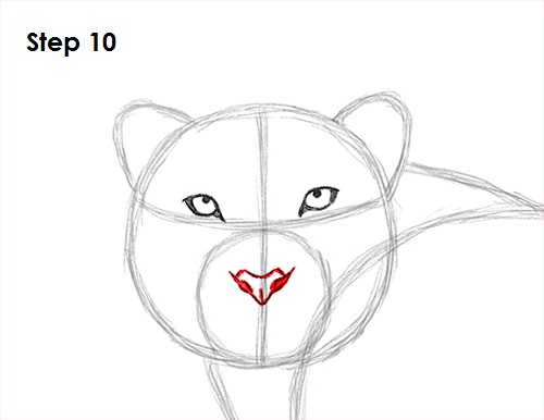 Draw Snow Leopard 10