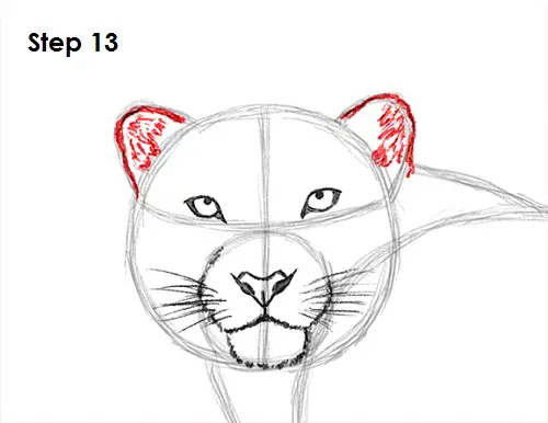 Draw Snow Leopard 13