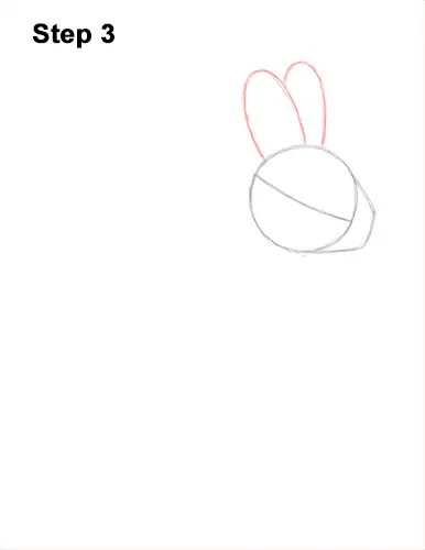 How to Draw a Snowshoe Hare Rabbit Sitting 3