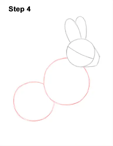 How to Draw a Snowshoe Hare Rabbit Sitting 4