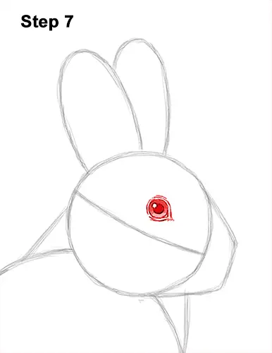 How to Draw a Snowshoe Hare Rabbit Sitting 7