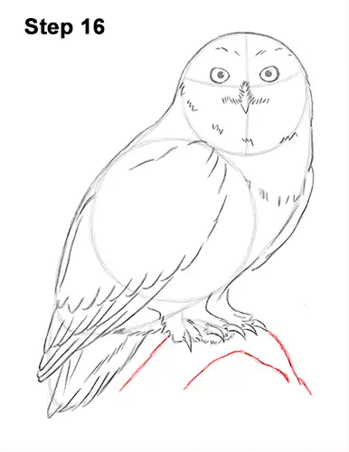 realistic drawing of a barn owl by Roberta Ekman, | Stable Diffusion