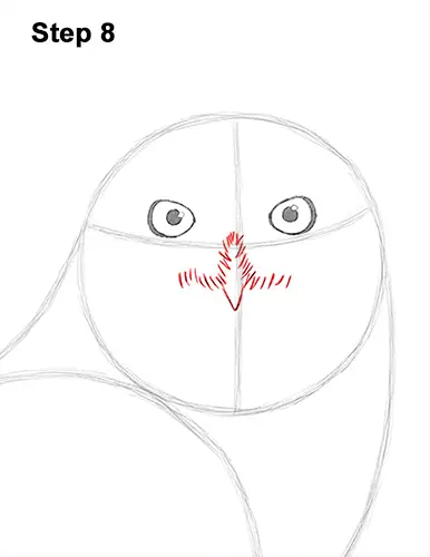 Draw Snowy Owl 8