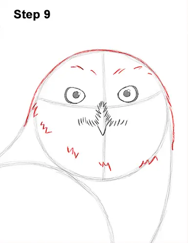 Draw Snowy Owl 9
