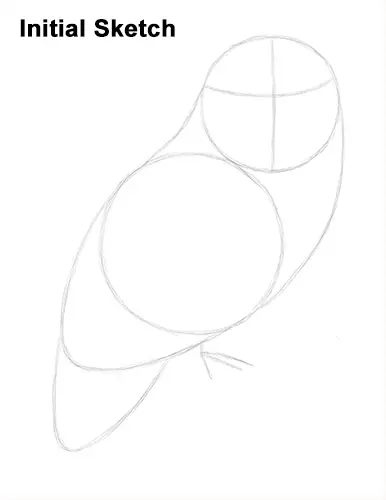 Draw Snowy Owl Sketch