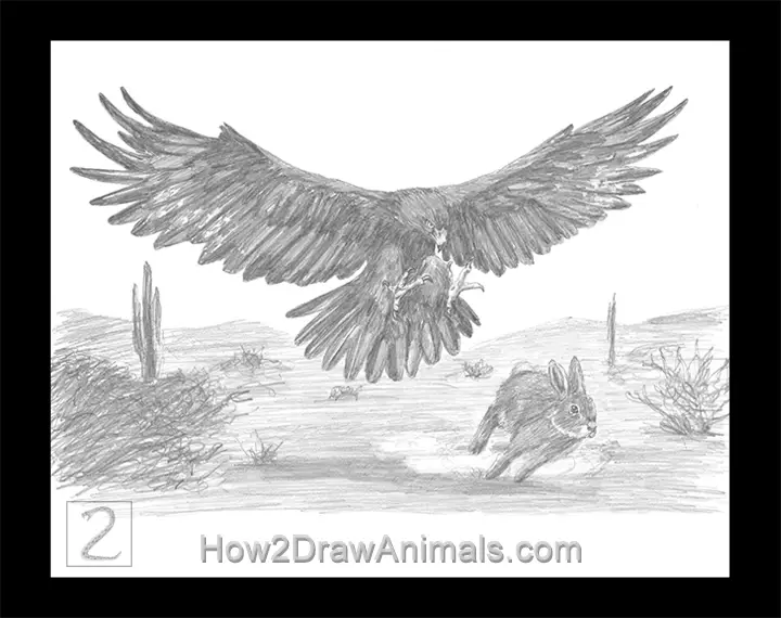 Special Golden Eagle Hunting Rabbit Drawing Pencil
