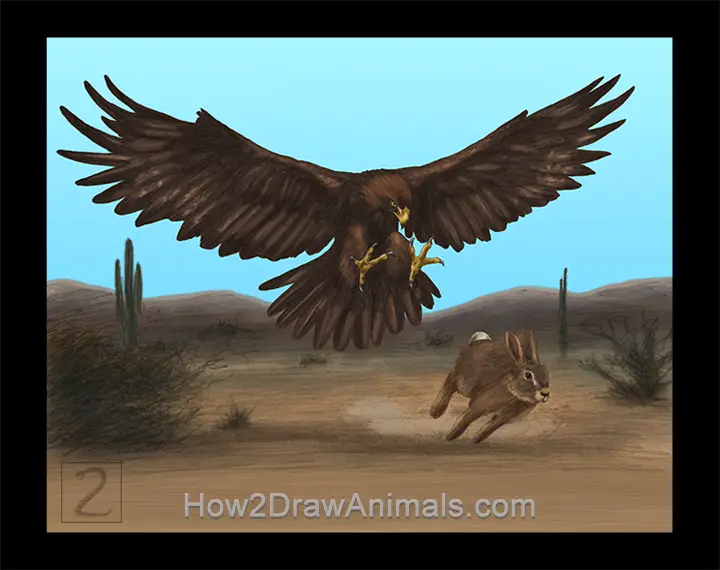 Special Golden Eagle Hunting Rabbit Drawing Color