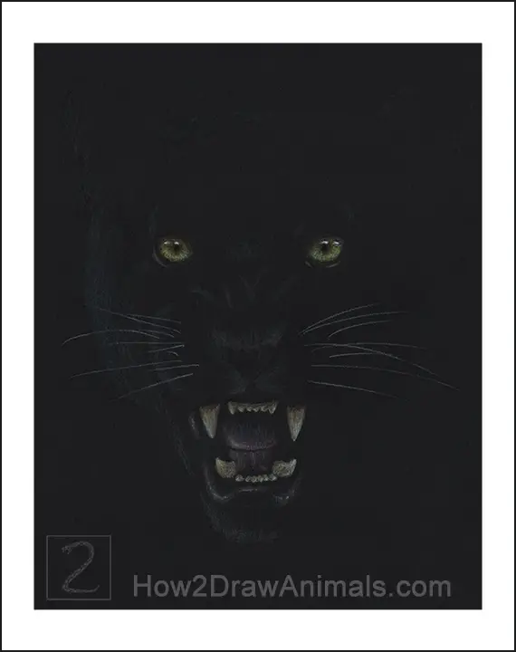 Special Black Panther Portrait Drawing