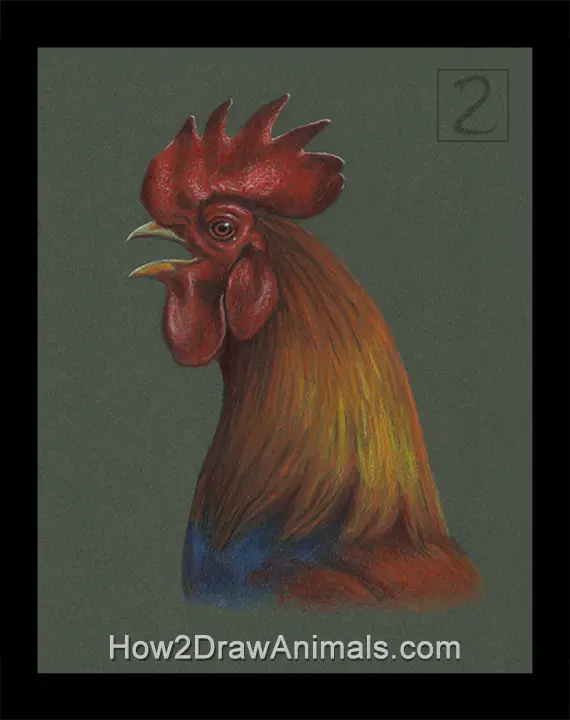 Special Rooster Crowing Portrait Drawing