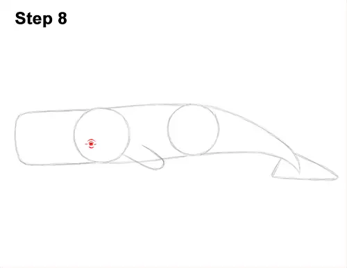How to Draw a Sperm Whale Side 8