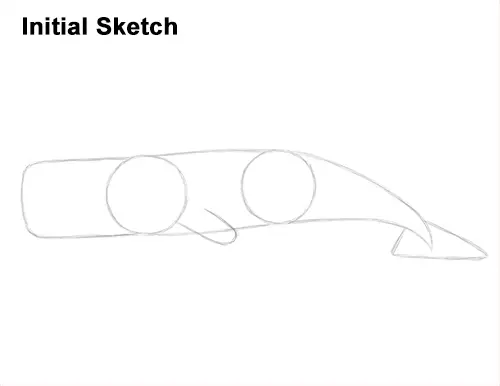 How to Draw a Sperm Whale Side Guides Lines