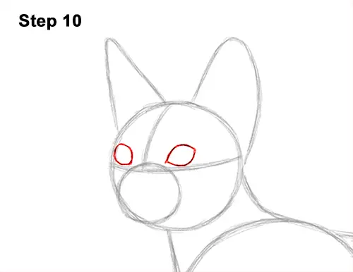 How to Draw a Sphynx Hairless Cat 10