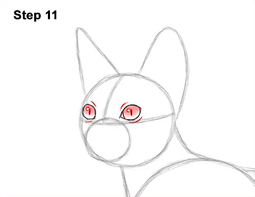 How to Draw a Sphynx Hairless Cat 11