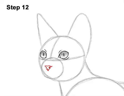 How to Draw a Sphynx Hairless Cat 12