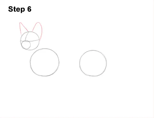 How to Draw a Sphynx Hairless Cat 6
