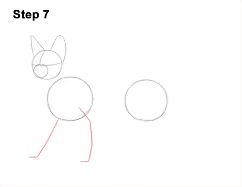How to Draw a Sphynx Hairless Cat 7