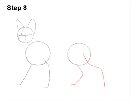 How to Draw a Sphynx Hairless Cat 8