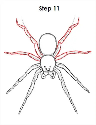 Black Widow Spider Drawing - HelloArtsy