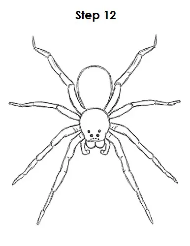 Spider Drawing Example Four