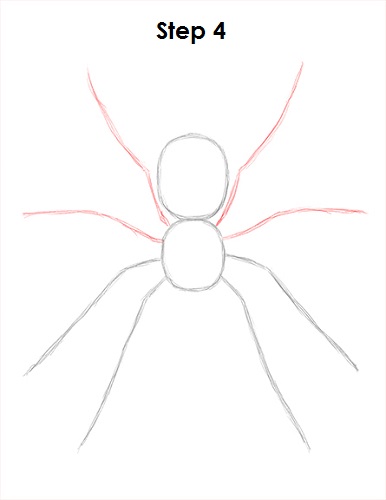 Tarantula Drawing Images – Browse 12,003 Stock Photos, Vectors, and Video |  Adobe Stock