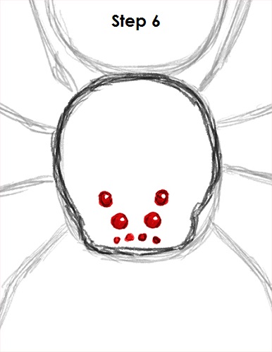 Draw Spider 6