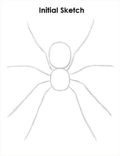 Spider Drawing Stock Illustrations  18312 Spider Drawing Stock  Illustrations Vectors  Clipart  Dreamstime