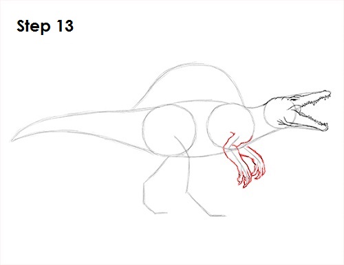 Draw Spinosaurus Dinosaur 13