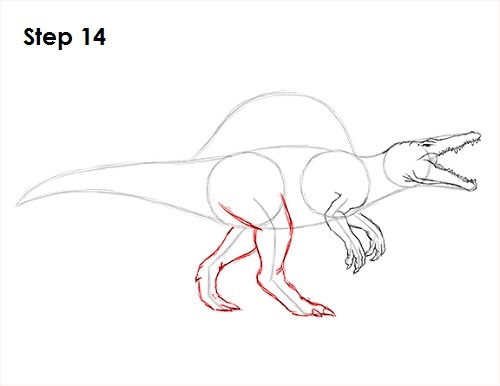 Draw Spinosaurus Dinosaur 14