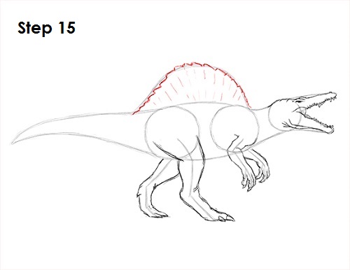 Draw Spinosaurus Dinosaur 15