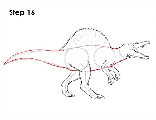 Draw Spinosaurus Dinosaur 16
