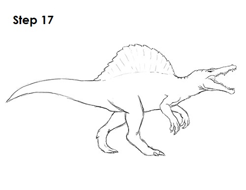 Draw Spinosaurus Dinosaur 17