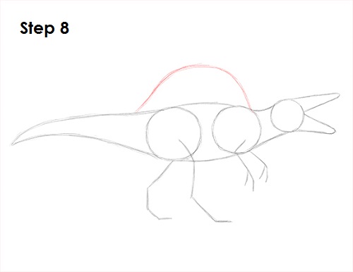 Draw Spinosaurus Dinosaur 8