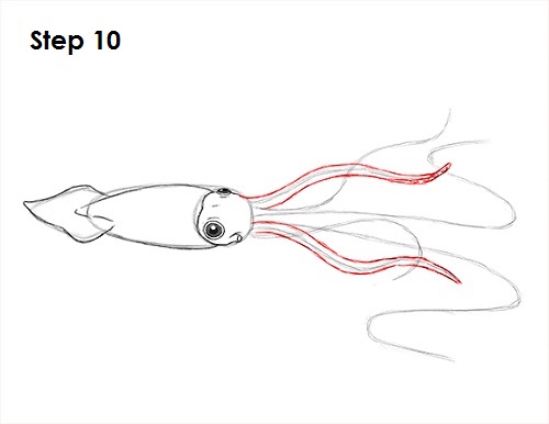 Draw Squid 10