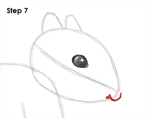 Draw Squirrel 7