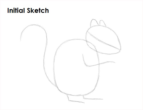 Draw Squirrel Sketch