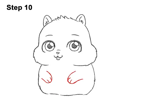 How to Draw Cute Cartoon Squirrel Chibi 10