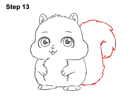 How to Draw Cute Cartoon Squirrel Chibi 13