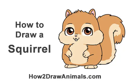 How to Draw Squirrel: The Step-by-Step Way to Draw Squirrel,Learn How to Draw  Squirrel for adults and kids,boys and girls of all ages.: Publishing, Mino:  9798810677499: Amazon.com: Books