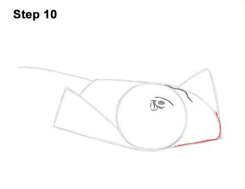 How to Draw a southern common Stingray swimming 10